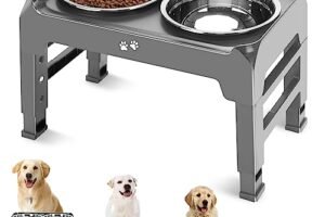 Dog Bowls