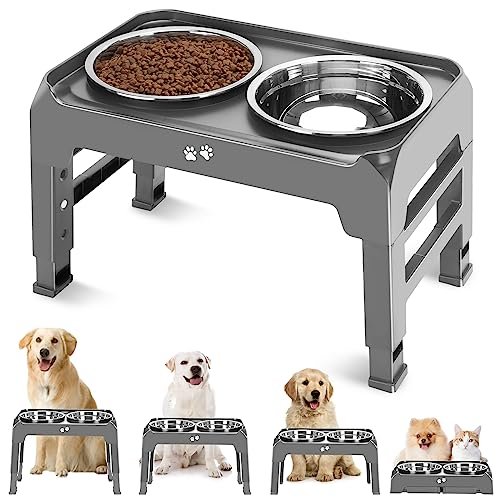 Dog Bowls