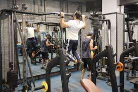 Top Gym Equipment Suppliers in Meerut – Quality & Affordability