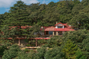 Explore the Best Resorts in Binsar and 5 Star Stays in Almora