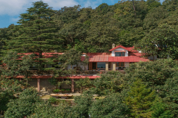 Explore the Best Resorts in Binsar and 5 Star Stays in Almora